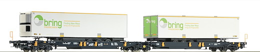 Doppeltaschen-Gelenkwagen, WASCOSA, Privatbahn