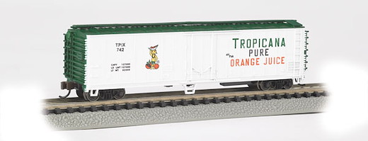 50' Steel Rfr Tropicana#1