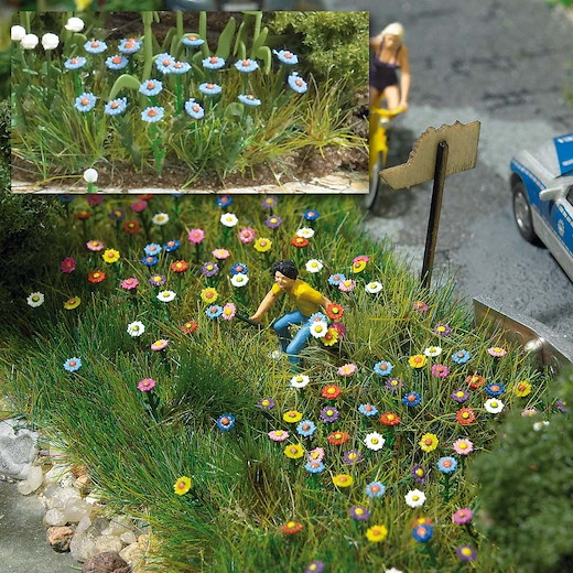 Sommerblumen