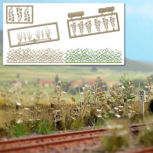 Spätsommerliches Gestrüpp