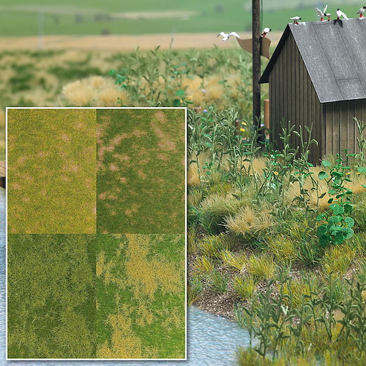 »Groundcover«-Bodendecker 4er Set