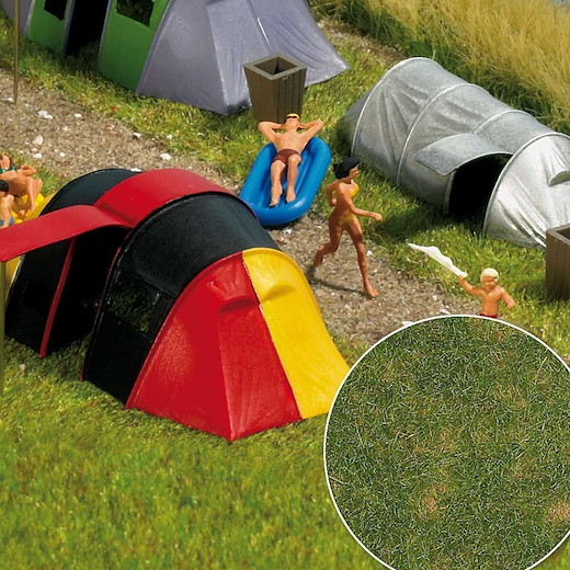 »Groundcover«-Bodendecker: Sommergras