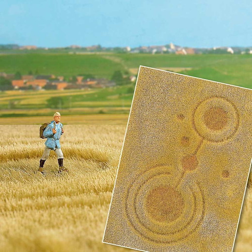 »Groundcover«-Bodendecker: Kornkreise