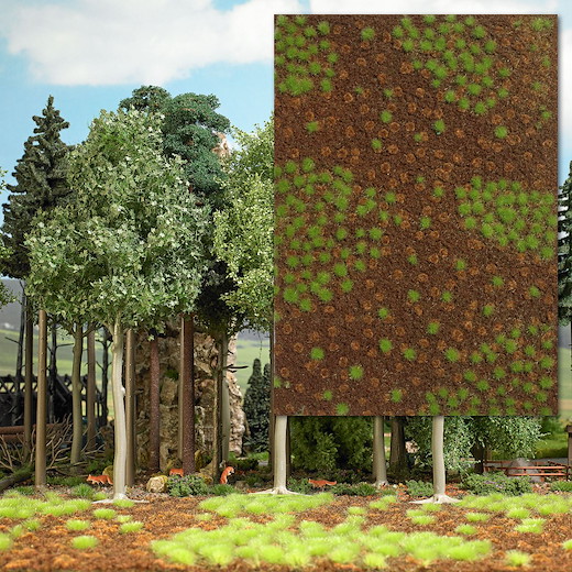 Groundcover-Bodendecker: Sommerlicher Waldboden