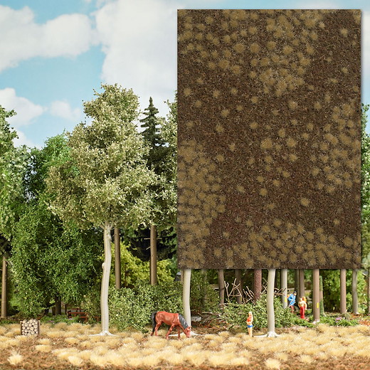 Groundcover-Bodendecker: Trockener Waldboden