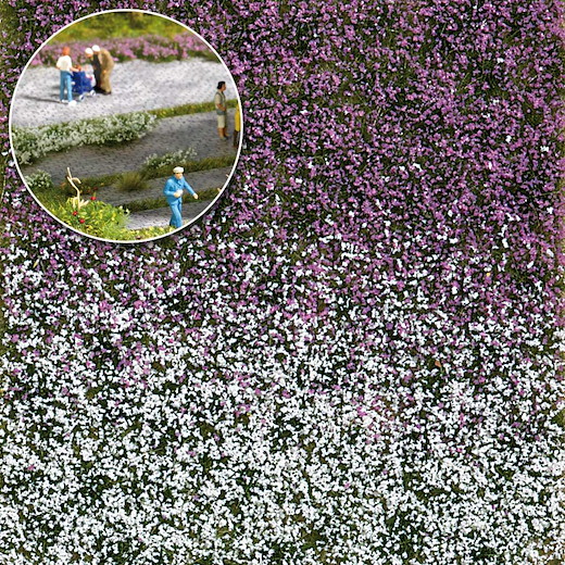 Blütenbüschel Spätsommer