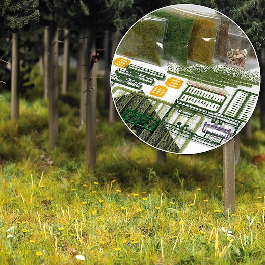 Starter-Kit: Bodengestaltung Wiese & Wald