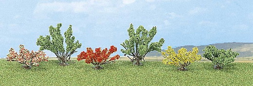 6 Büsche