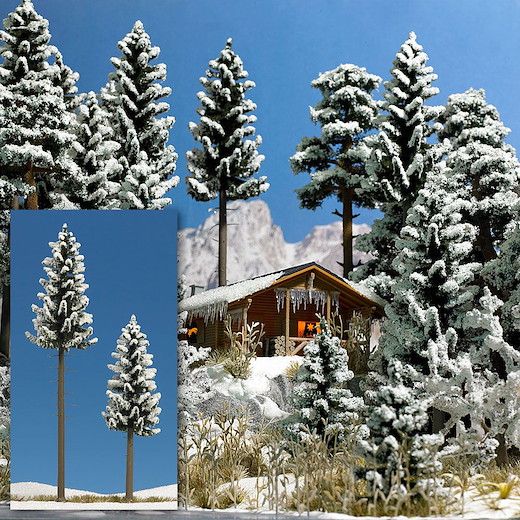 2 verschneite Hochstammfichten
