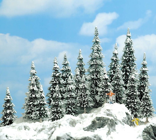 20 Schneetannen