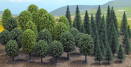 Mischwald mit 50 Bäumen »Mega-Spar-Set«