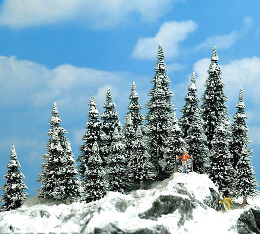 20 Schneetannen