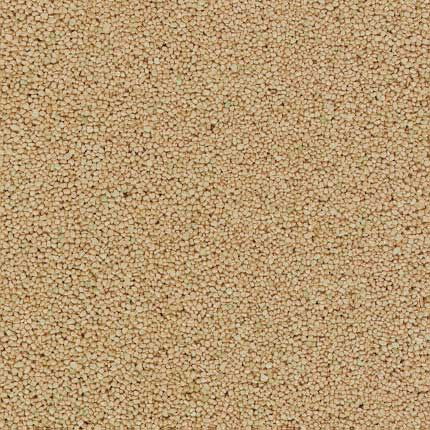 Schotter beige