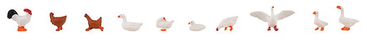 Hühner, Enten und Gänse