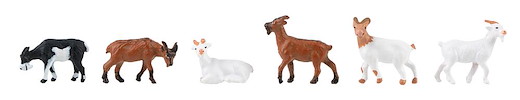 Ziegen