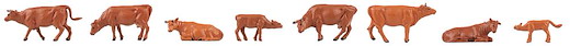 8 Angler Rinder