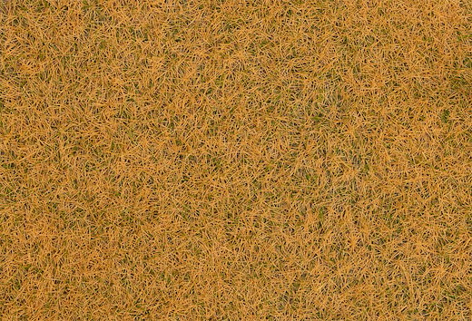 Streufasern Wildgras, verdorrt, 4 mm, 30 g