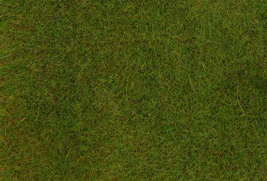PREMIUM Streufasern Frühlingswiese, 6 mm, 30 g