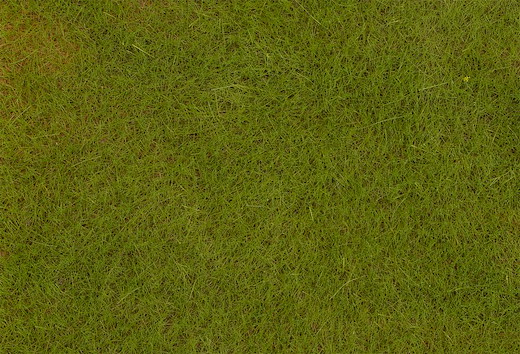 PREMIUM Streufasern Frühsommerwiese, 6 mm, 30 g