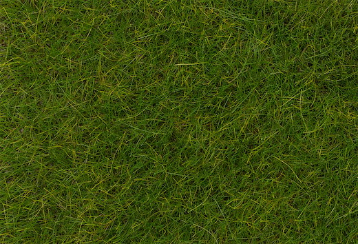 PREMIUM Streufasern Sommerwiese, lang, 12 mm, 30 g