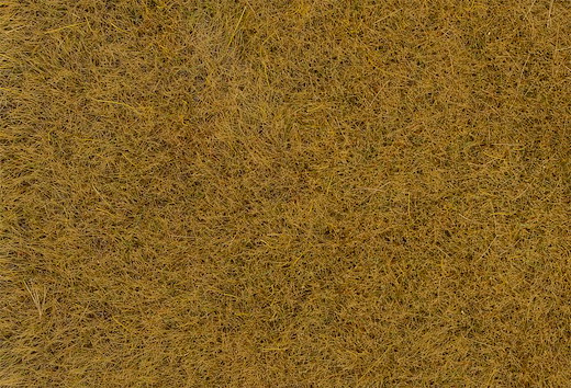 PREMIUM Streufasern Heu, 6 mm, 30 g