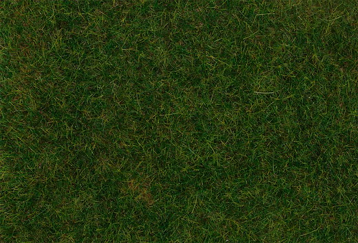 PREMIUM Streufasern, Gras, dunkelgrün, 6 mm, 30 g