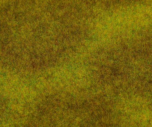 PREMIUM Landschafts-Segment, Wiese, dunkel