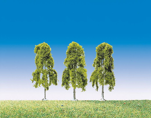3 Hängebirken Top Serie