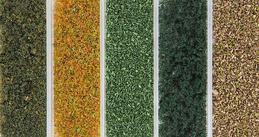 Belaubungsmaterial Herbst-Mix, 5 Sorten