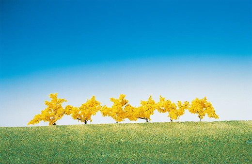6 Forsythien, gelb blühend