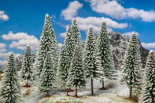18 Wintertannen