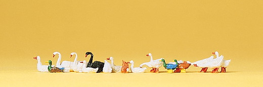 Enten, Gänse und Schwäne