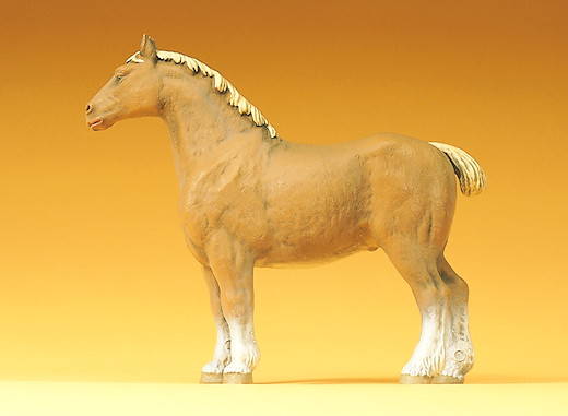 Pferd belgisch