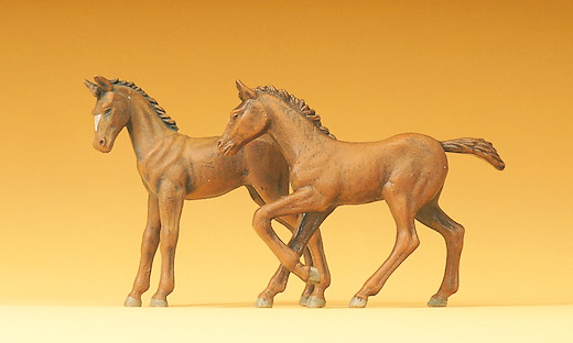 2 Fohlen stehend und springen