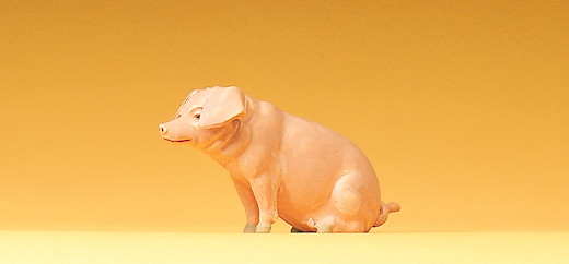 Schwein sitzend
