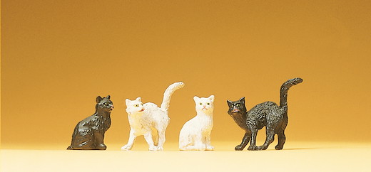 4 Katzen