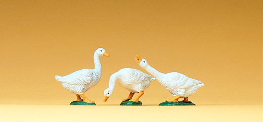 3 Gänse