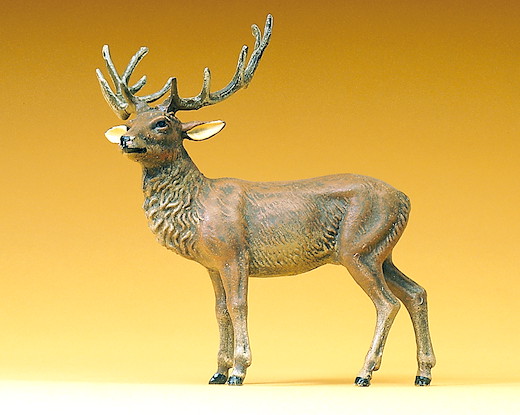 Hirsch stehend
