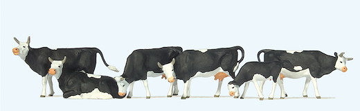 Kühe