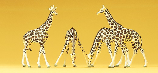 Giraffen