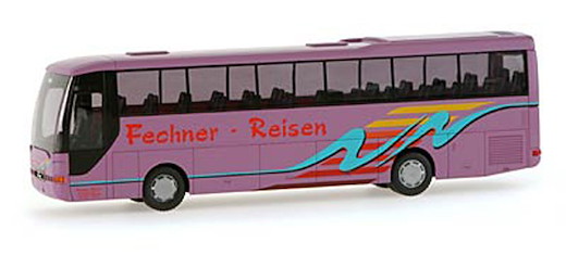MAN Lions Coach Fechner Wolfsburg
