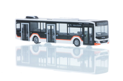 *MAN Lion´s City 12´18 Bamert Bus (CH)