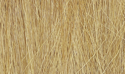 Hohes Gras, Herbstgold