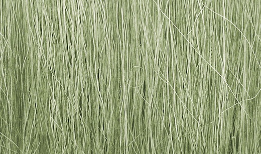Hohes Gras, hellgrün