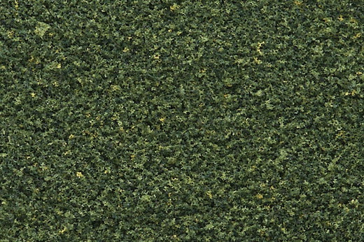 Gras, grün, fein, Streudose