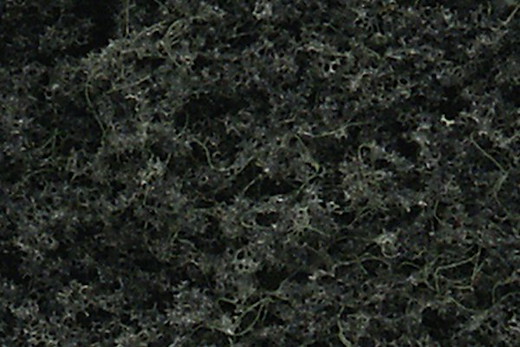Nadelbäume 16 St. 15-20 cm