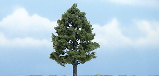 1 Amberbaum  10 cm