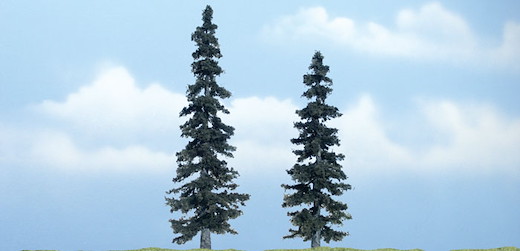 2 Fichten  12,5 cm u. 10 cm