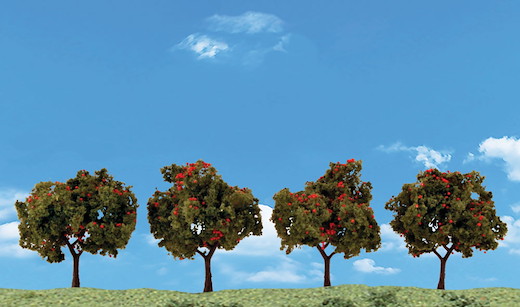 2"-3" Apple Trees 4/Pk