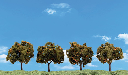 2"-3" Orange Trees 4/Pk
